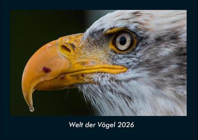 Welt der Vögel 2026 Fotokalender DIN A4