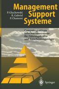 Management Support Systeme