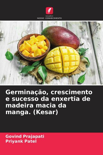 Germinação, crescimento e sucesso da enxertia de madeira macia da manga. (Kesar)