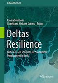 Deltas Resilience