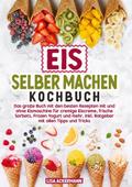 Eis selber machen Kochbuch