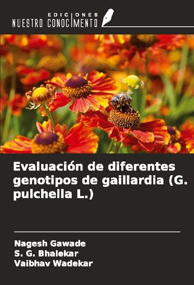 Evaluación de diferentes genotipos de gaillardia (G. pulchella L.)