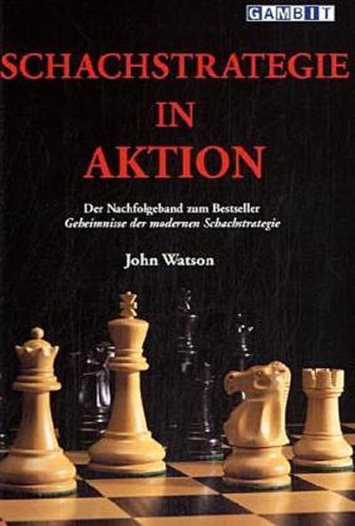 Schachstrategie in Aktion