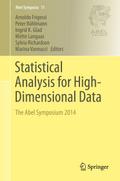 Statistical Analysis for High-Dimensional Data