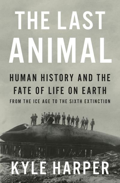 The Last Animal