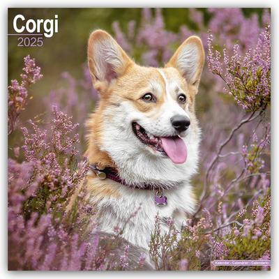 Welsh Corgi 2025 - 16-Monatskalender