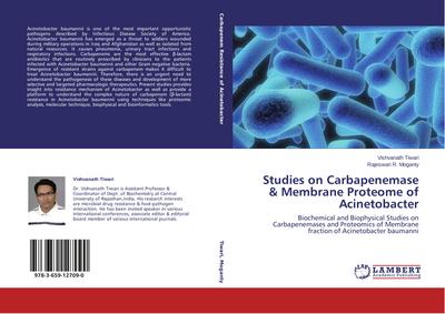 Studies on Carbapenemase & Membrane Proteome of Acinetobacter
