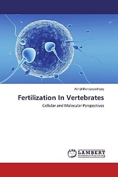 Fertilization In Vertebrates