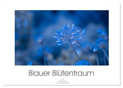 Blauer Blütentraum (Wandkalender 2026 DIN A3 quer), CALVENDO Monatskalender