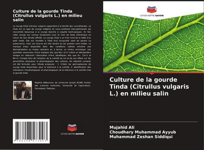 Culture de la gourde Tinda (Citrullus vulgaris L.) en milieu salin