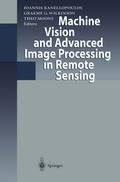Machine Vision and Advanced Image Processing in Re