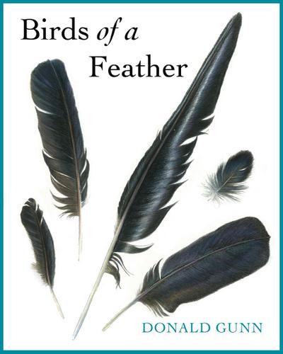Birds of a Feather