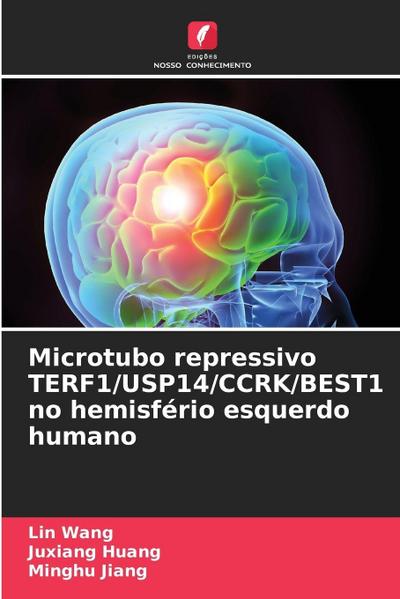 Microtubo repressivo TERF1/USP14/CCRK/BEST1 no hemisfério esquerdo humano