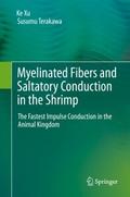 Myelinated Fibers and Saltatory Conduction in the 