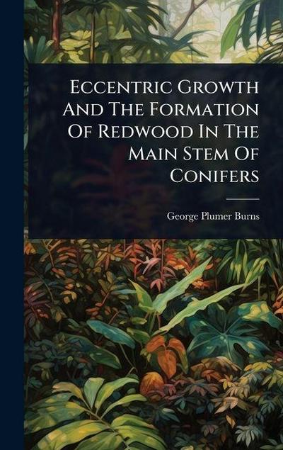 Eccentric Growth And The Formation Of Redwood In The Main Stem Of Conifers