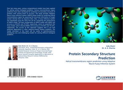 Protein Secondary Structure Prediction