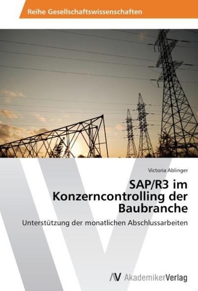 SAP/R3 im Konzerncontrolling der Baubranche