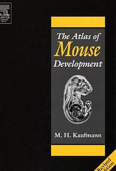 The Atlas of Mouse Development