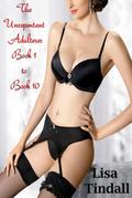 The Unrepentant Adulterer - Book 1 to Book 10