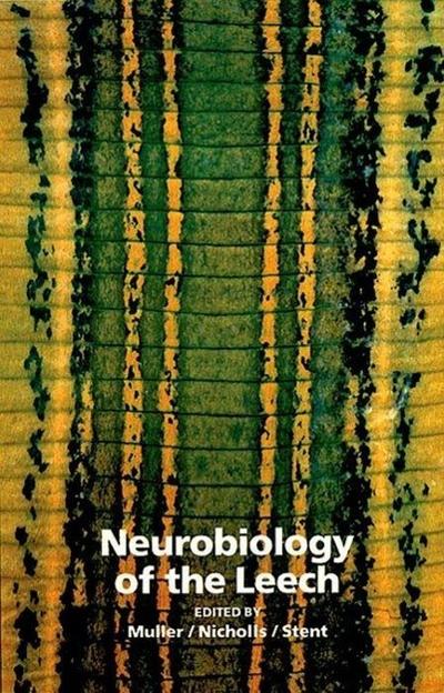 Neurobiology of the Leech