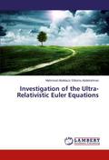 Investigation of the Ultra-Relativistic Euler Equa