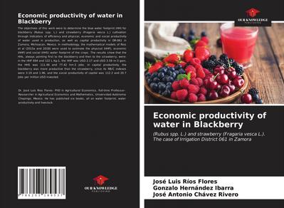Economic productivity of water in Blackberry