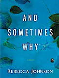 And Sometimes Why