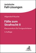 Fälle zum Strafrecht II
