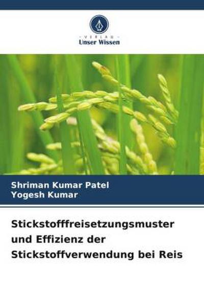 Stickstofffreisetzungsmuster und Effizienz der Stickstoffverwendung bei Reis