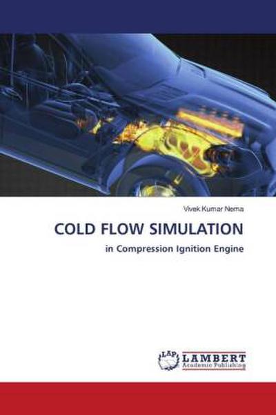 COLD FLOW SIMULATION