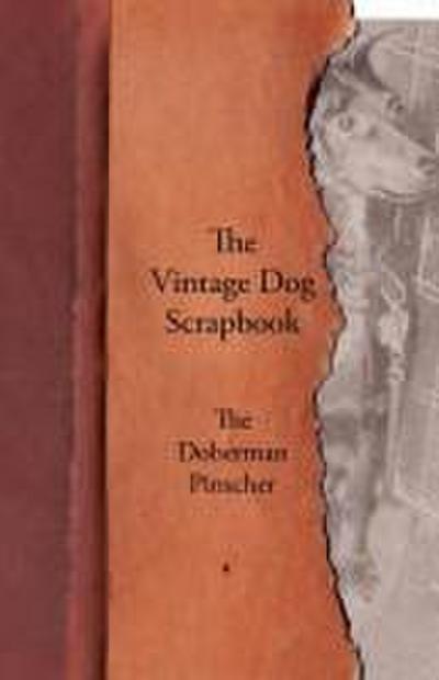 The Vintage Dog Scrapbook - The Doberman Pinscher