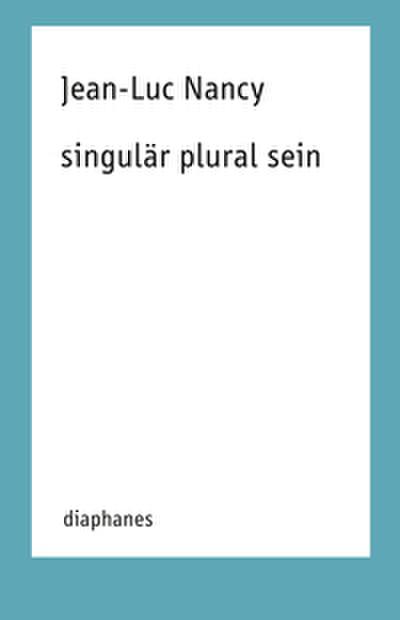 singulär plural sein