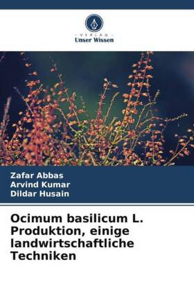 Ocimum basilicum L. Produktion, einige landwirtschaftliche Techniken