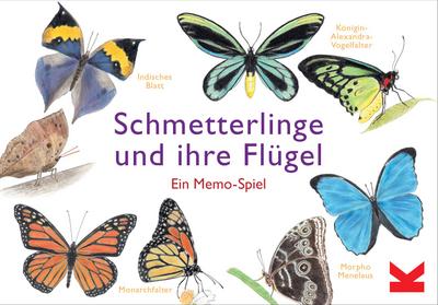 Schmetterlinge und ihre Flügel (Spiel)