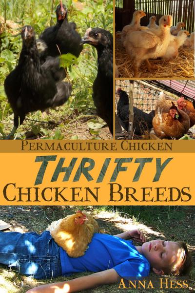 Thrifty Chicken Breeds: Efficient Producers of Eggs and Meat on the Homestead (Permaculture Chicken, #3)