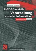 Sehen und die Verarbeitung visueller Informationen