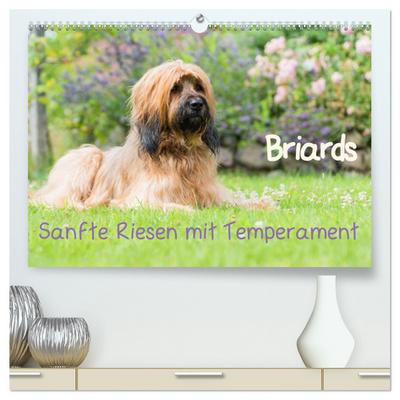 Briards - sanfte Riesen mit Temperament (hochwertiger Premium Wandkalender 2024 DIN A2 quer), Kunstdruck in Hochglanz