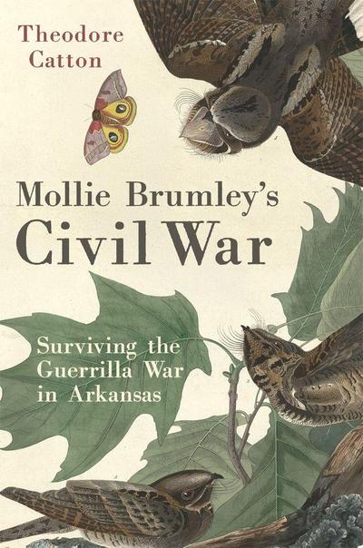 Mollie Brumley’s Civil War