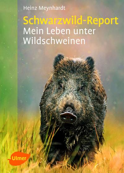 Schwarzwild-Report