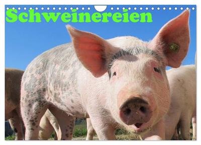 Schweinereien (Wandkalender 2024 DIN A4 quer), CALVENDO Monatskalender