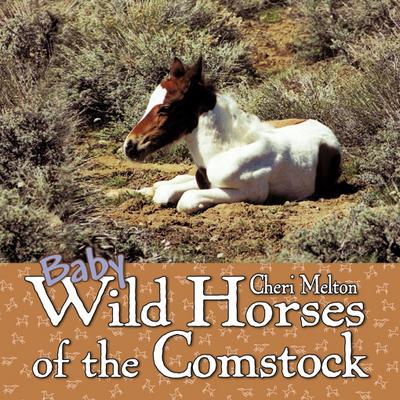 BABY WILD HORSES OF THE COMSTO