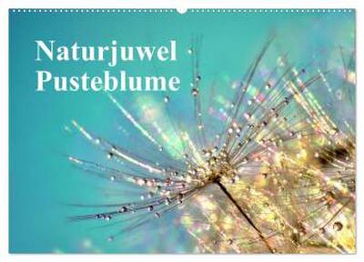 Naturjuwel Pusteblume (Wandkalender 2026 DIN A2 quer), CALVENDO Monatskalender
