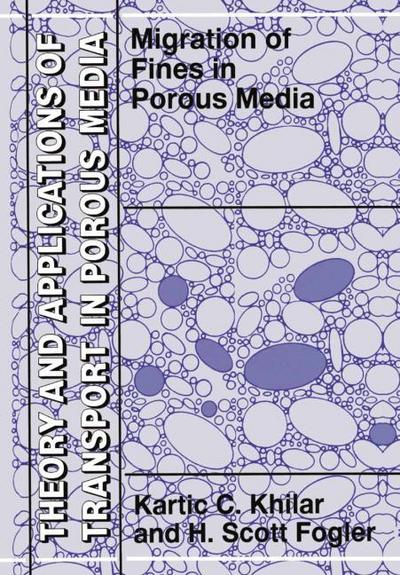 Migrations of Fines in Porous Media