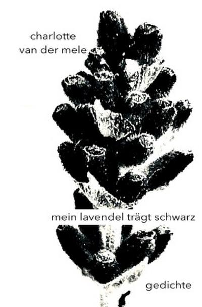 mein lavendel trägt schwarz