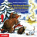 Ein Weihnachtsbär Im Sternenhaus