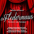 Die Fledermaus
