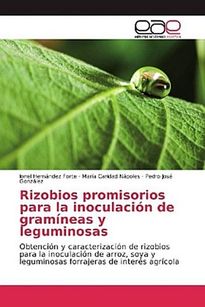 Rizobios promisorios para la inoculación de gramíneas y leguminosas
