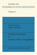 Numerical Methods in Laminar Flame Propagation