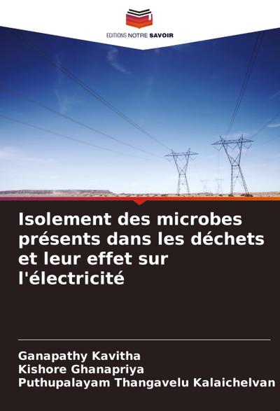 Isolement des microbes présents dans les déchets et leur effet sur l’électricité
