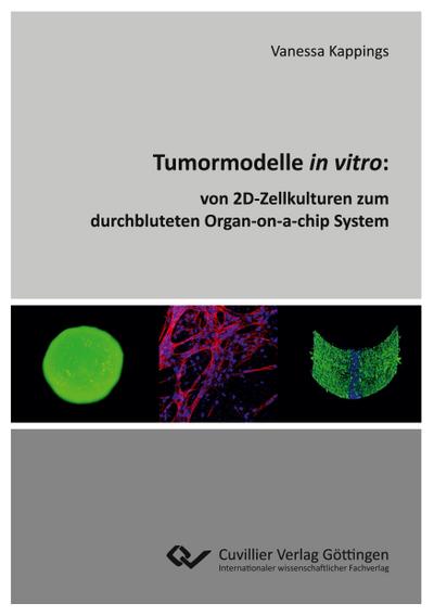 Tumormodelle in vitro
